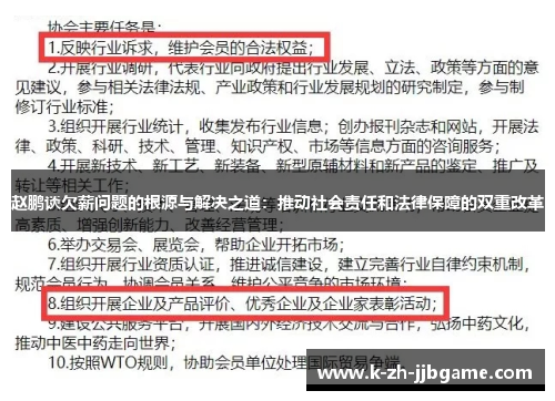 赵鹏谈欠薪问题的根源与解决之道：推动社会责任和法律保障的双重改革